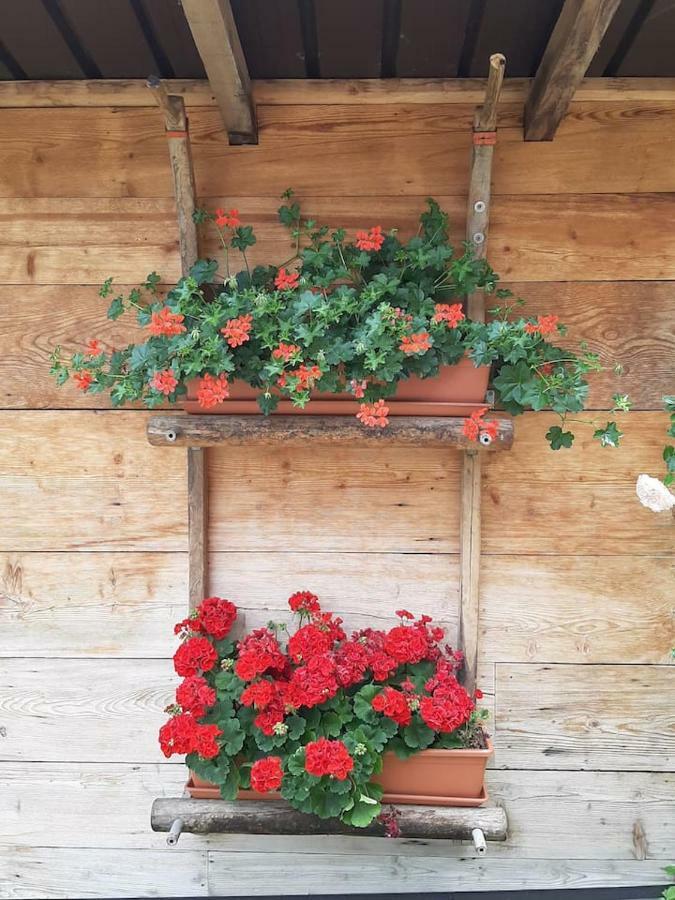 Appartamento Per Vacanze "Il Gelso" Rovereto  Exterior photo
